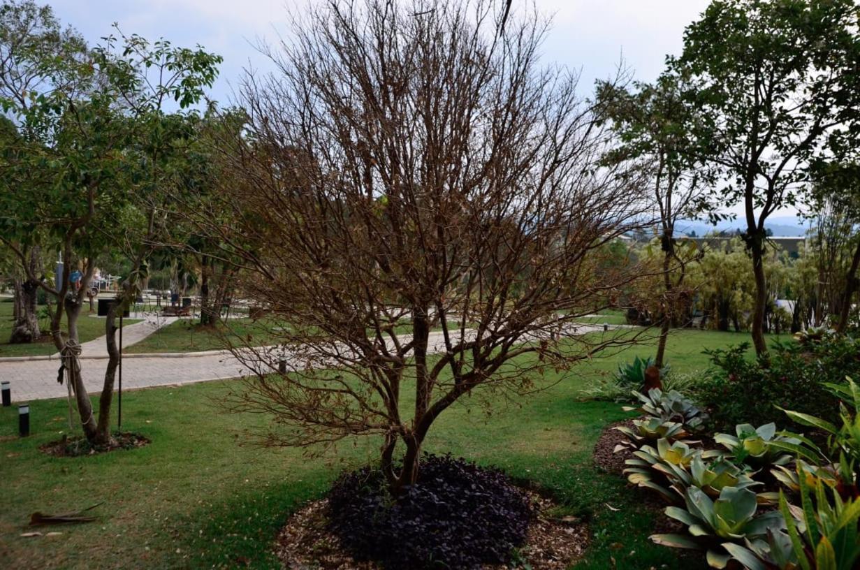 Capao Do Cerrado Pousada E Spa Itabirito Zewnętrze zdjęcie